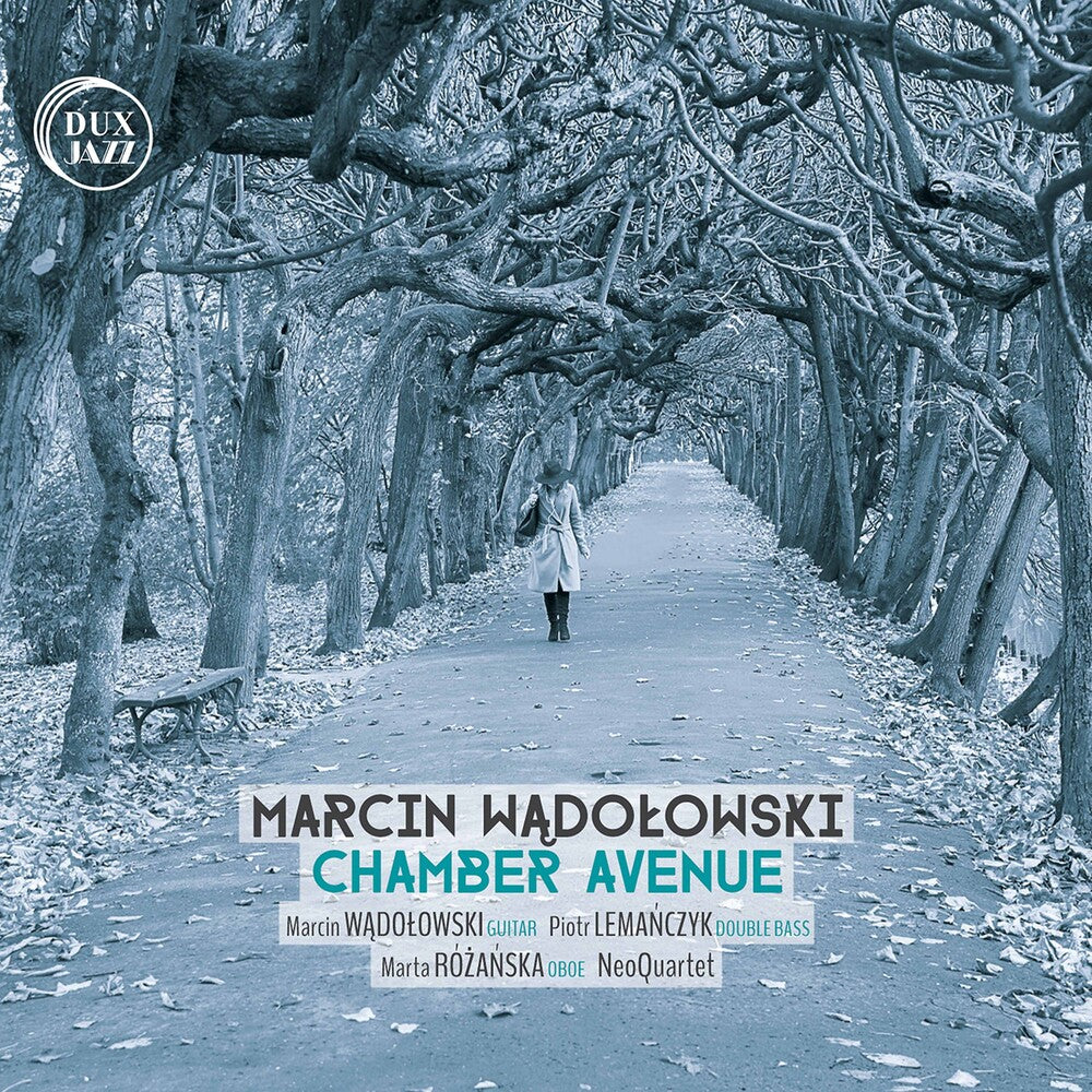 the album cover for Berthier / Wadolowski / Neoquartet - Chamber Avenue