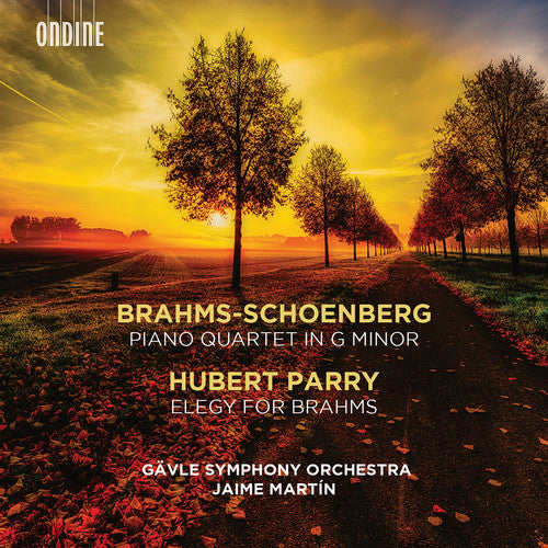 the album cover for Brahms / Gavle Symphony Orchestra - Piano Quartet in G Minor / Elegy for Brahms
