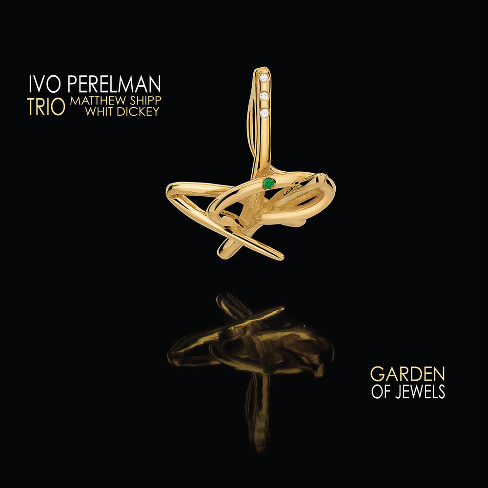 the album cover for Ivo Perelman Trio - Garden Of Jewels