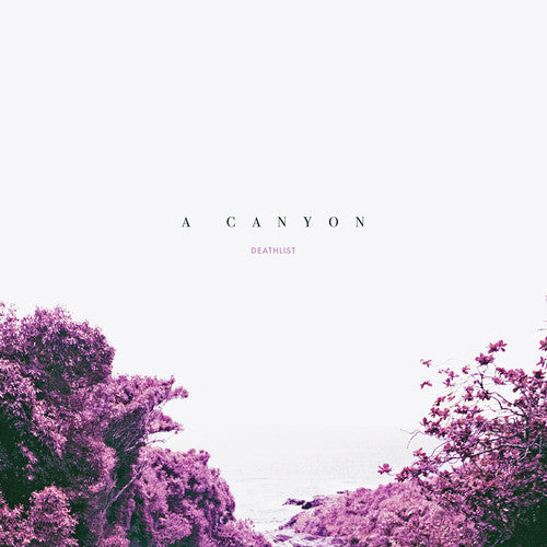 A Canyon [Download Included] Vinyl Record