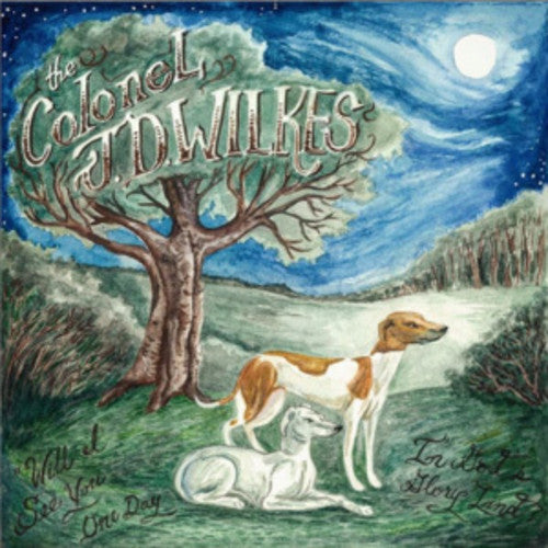 the album cover for Col Wilkes Jd - Will I See You Again In God's Glory Land?