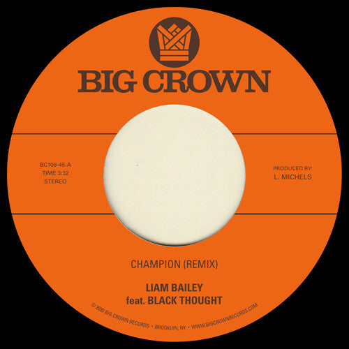 Bailey,liam - Champion (remix) / Ugly Truth (remix) - Vinyl Record