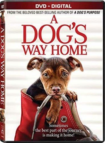 Dog's Way Home - Dog's Way Home - DVD