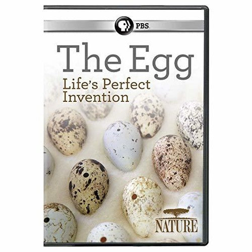 Nature: Egg: Life's Perfect Invention - Nature: Egg: Life's Perfect Invention - DVD