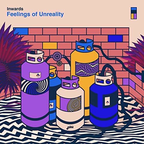 the album cover for Inwards - Feelings Of Unreality
