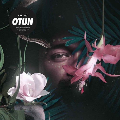 Otun [LP] Vinyl Record