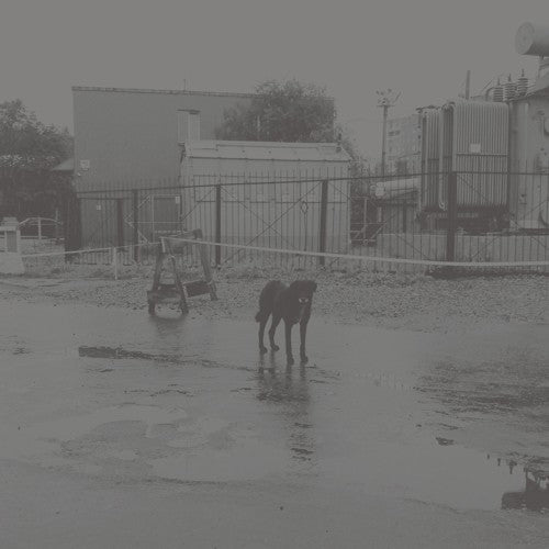 Nivhek - After Its Own Death / Walking In A Spiral Towards The House Vinyl Record