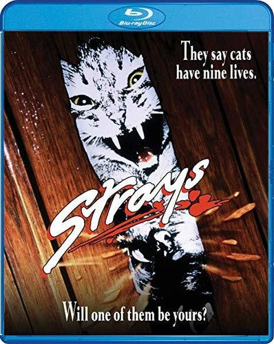 Strays (1991) - Strays (1991) - Blu-ray