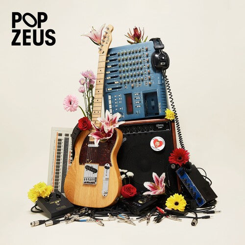 Pop Zeus - This Doesn't Feel Like Home (Unreleased Demos 2011-2014) Vinyl Record