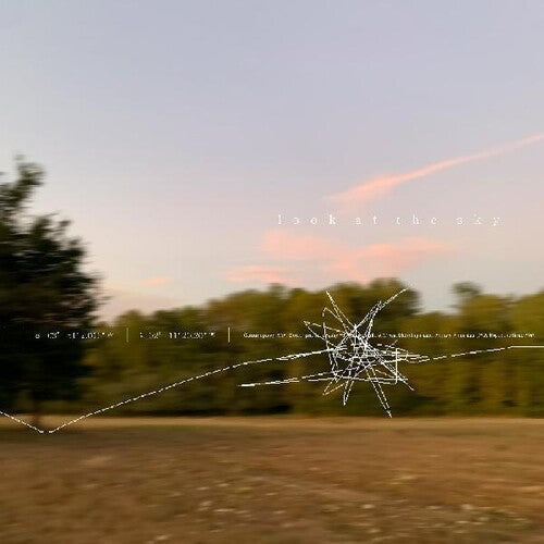Robinson,porter - Look At The Sky - Vinyl Record