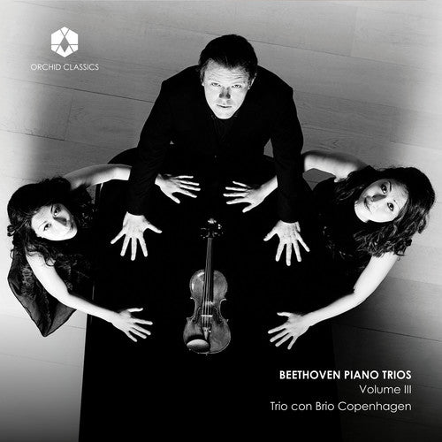 the album cover for Beethoven - Piano Trios 3