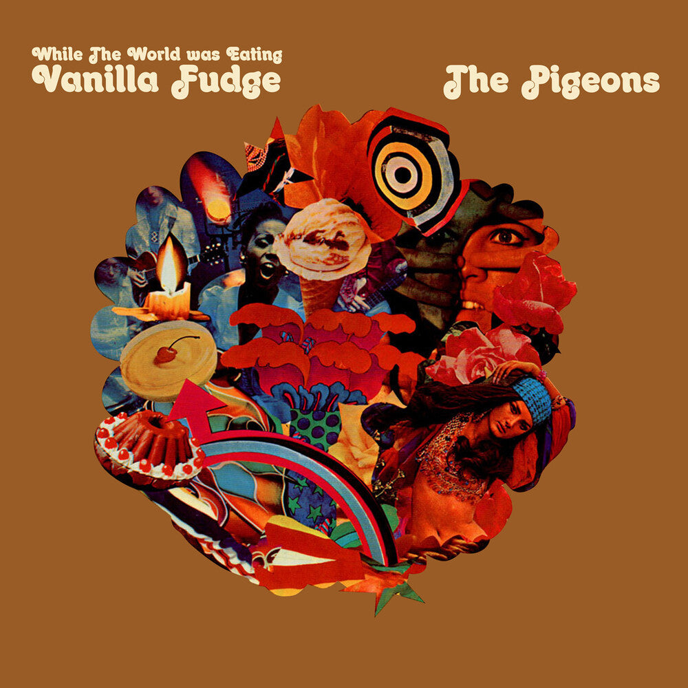 the album cover for Pigeons / Mark Stein - While The World Was Eating Vanilla Fudge (Mod)