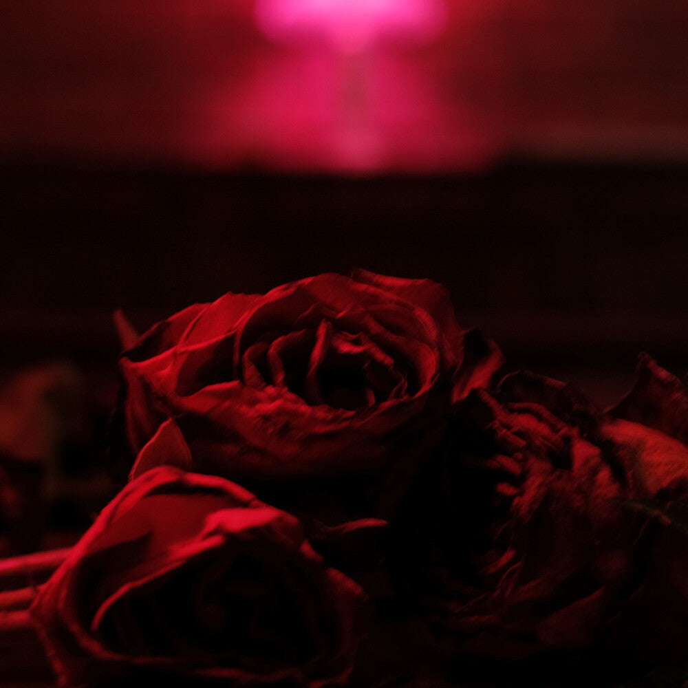 Roses [LP] Vinyl Record