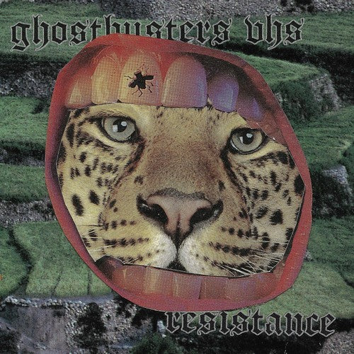 Ghostbusters Vhs - Resistance - Vinyl Record