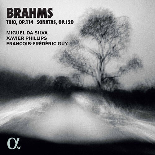 Brahms / Silva / Guy - Trio 114 / Sonatas - Music CD