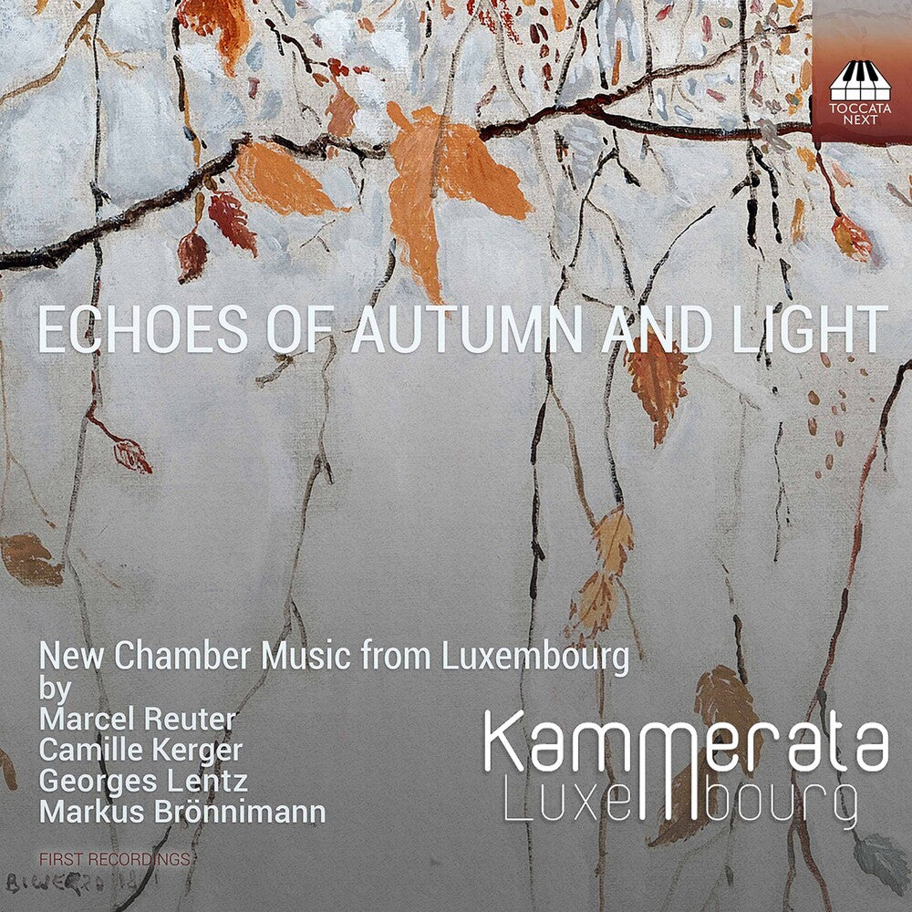the album cover for Bronnimann / Luxembourg - Echoes of Autumn & Light