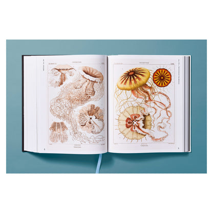 The Art and Science of Ernst Haeckel (German, French, English) Book