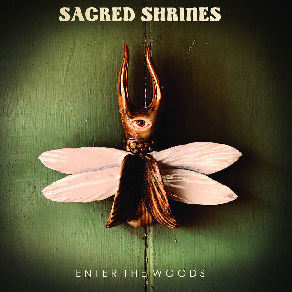 Enter The Woods [LP] Vinyl Record