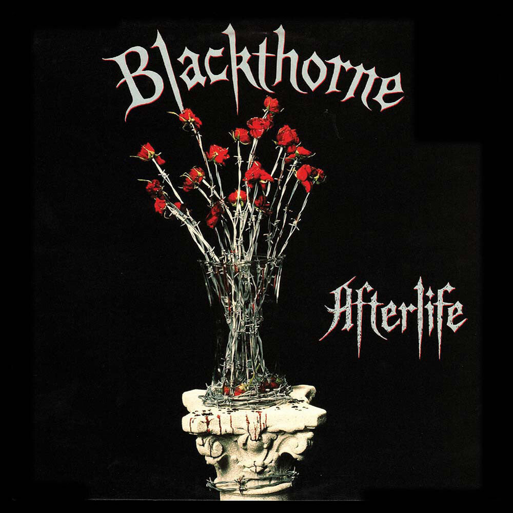 Afterlife (Bonus Track) (Gate) [180 Gram] Vinyl Record
