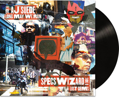 Long May We Rain / Lost Gems Vinyl Record