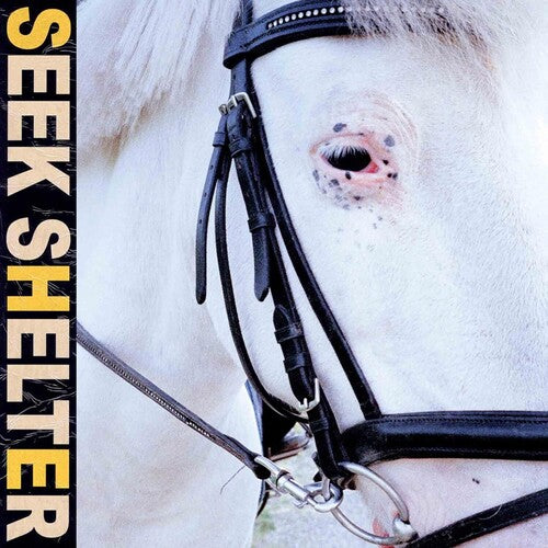 Iceage - Seek Shelter - Vinyl Record