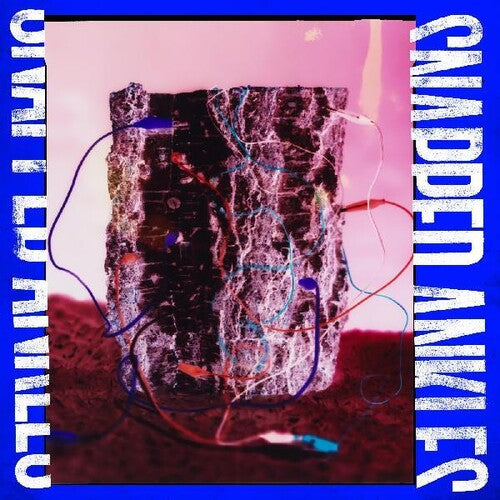 Snapped Ankles - Forest Of Your Problems - Music CD