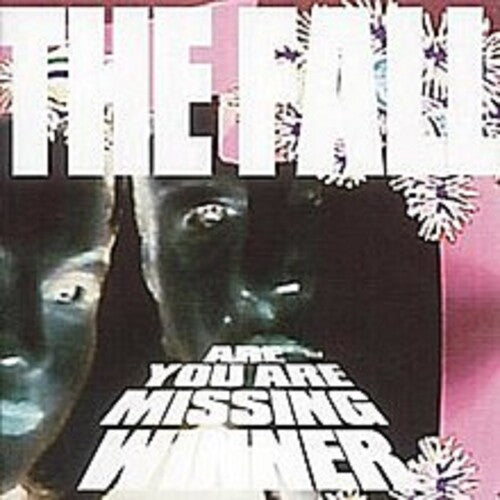 Fall - Are You Are Missing Winner - Music CD