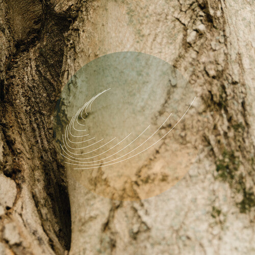 Field Works - Maples, Ash, and Oaks: Cedars Instrumentals Vinyl Record