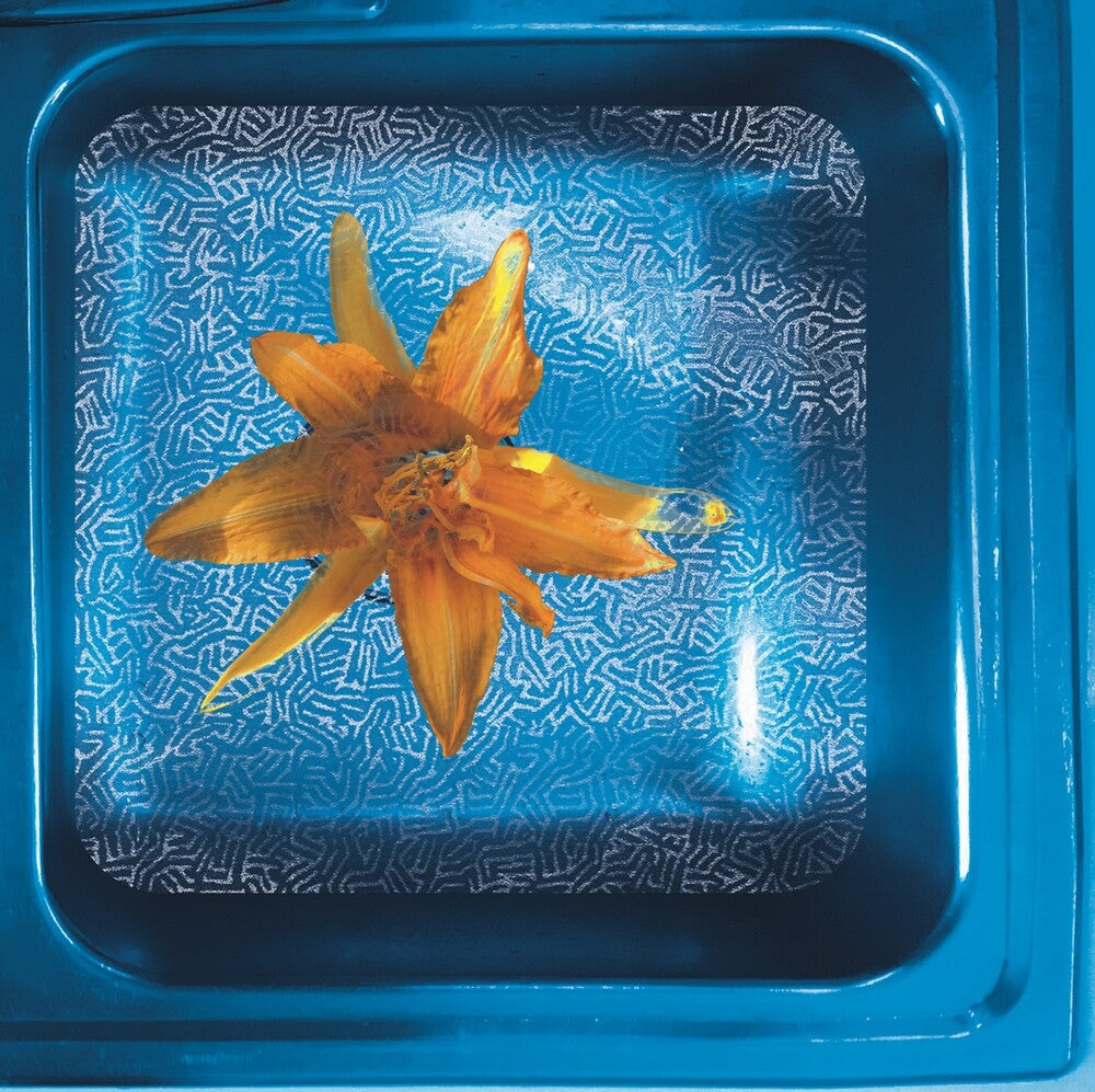 the album cover for June Star - How We See It Now