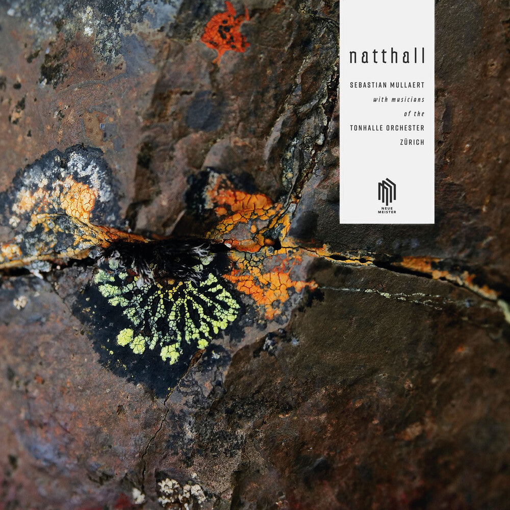Natthall (2pk) [LP] Vinyl Record