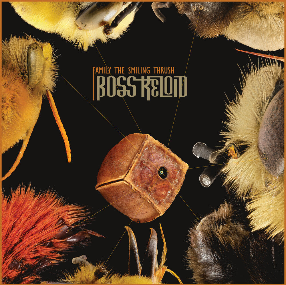 the album cover for Boss Keloid - Family The Smiling Thrush