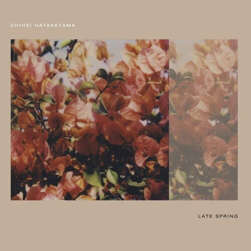 Hatakeyama,chihei - Late Spring - Music CD