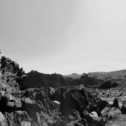 Six Organs of Admittance - Veiled Sea Vinyl Record