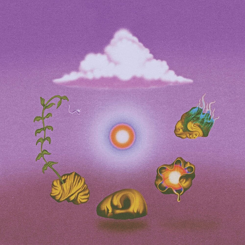 the album cover for Evolfo - Site Out Of Mind [LP]