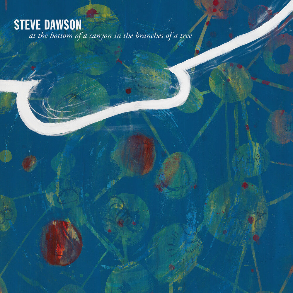 Steve Dawson - At The Bottom Of A Canyon In The Branches Of Tree [LP] Vinyl Record