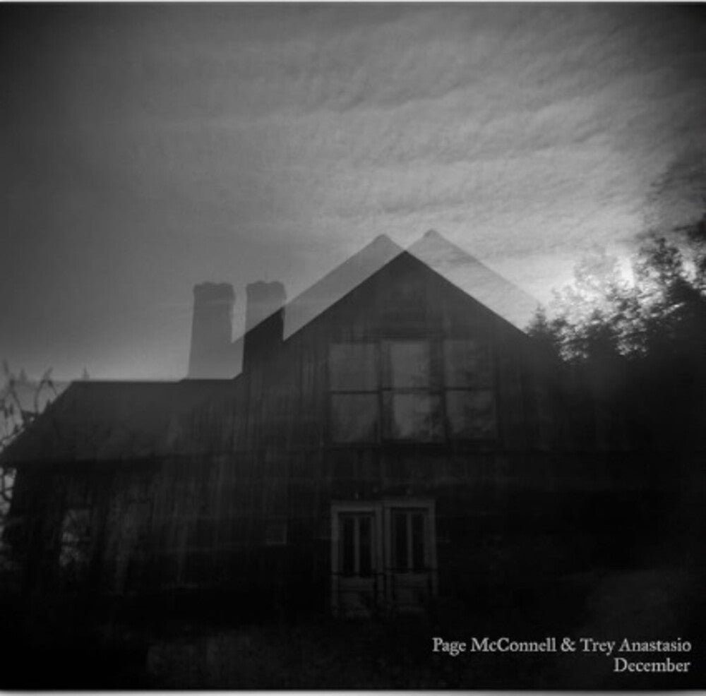 Page McConnell/Trey Anastasio - December [Barn Board LP] Vinyl Record
