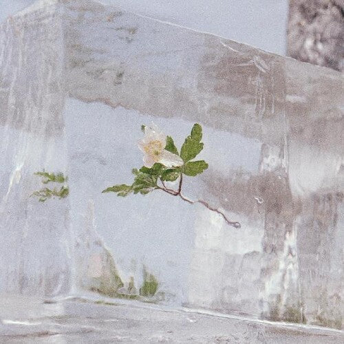 Efterklang - Windflowers Vinyl Record