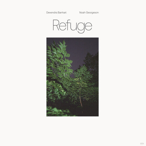 Devendra Banhart - Refuge (Blue Seaglass Wave Translucent) Vinyl Record