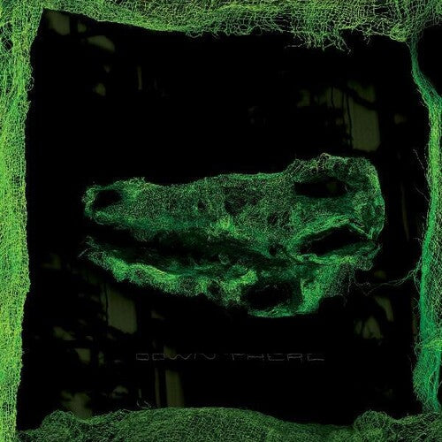 Avey Tare - Down There - Vinyl Record