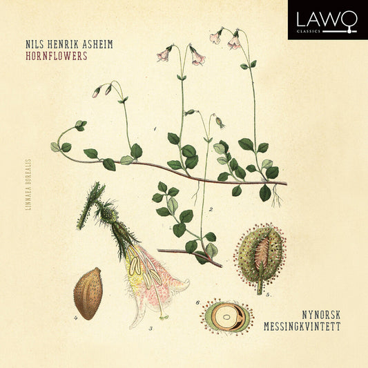 the album cover for Asheim / Messingkvintett - Hornflowers