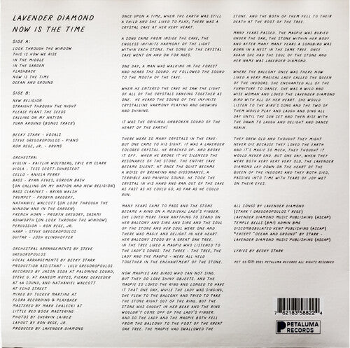 Lavender Diamond - Now is the Time Vinyl Record