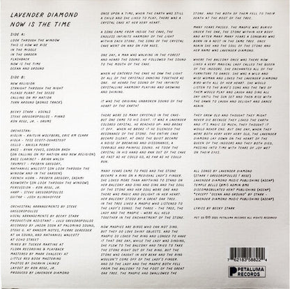 Lavender Diamond - Now is the Time Vinyl Record