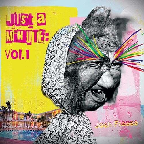 Josh Freese - Just A Minute 1 Vinyl Record