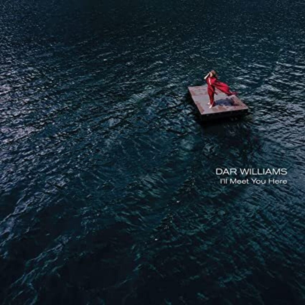 Dar Williams - I'll Meet You Here [LP] Vinyl Record