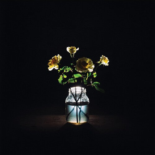 Billy Strings - Renewal [2LP] Vinyl Record
