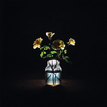 Billy Strings - Renewal [2LP] Vinyl Record
