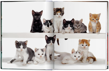 Walter Chandoha. Cats. Photographs 1942–2018 (German, French, English) Book