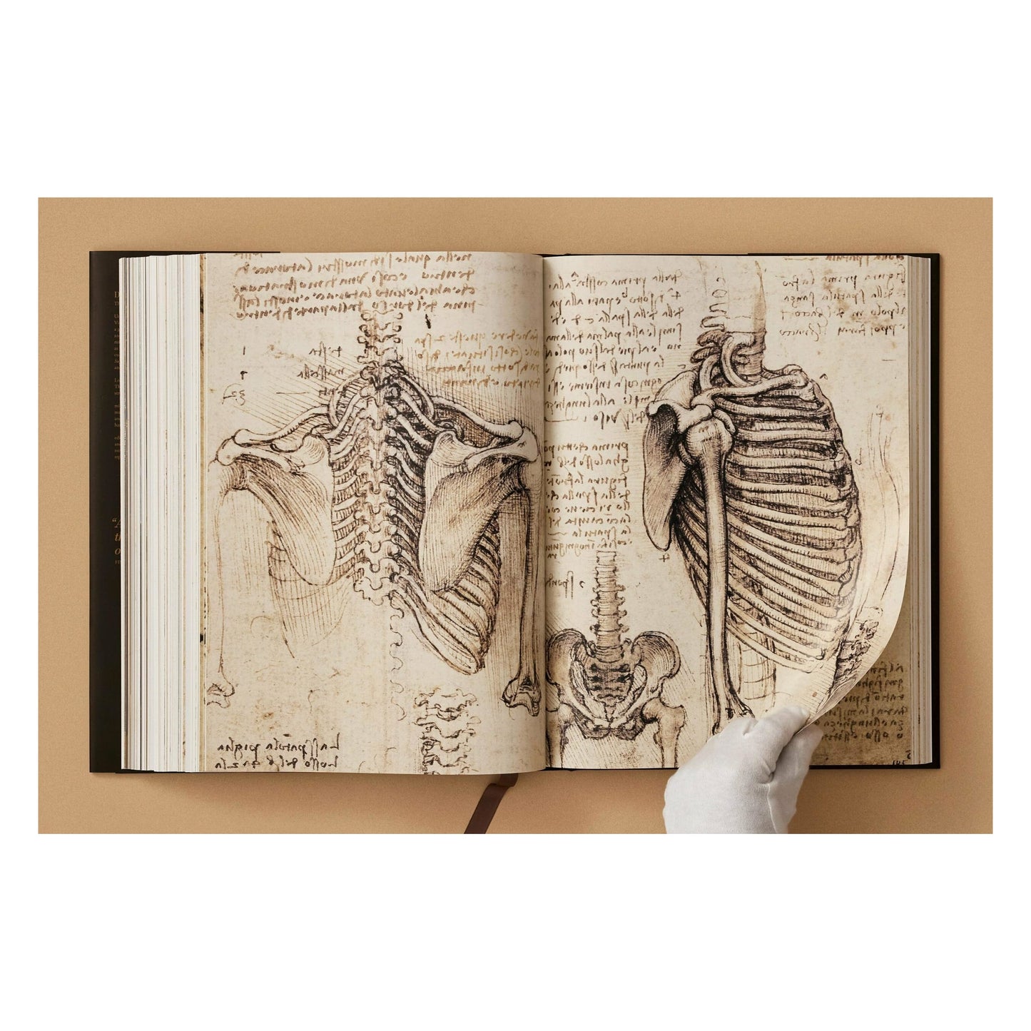 Leonardo. The Complete Paintings and Drawings (English) Book