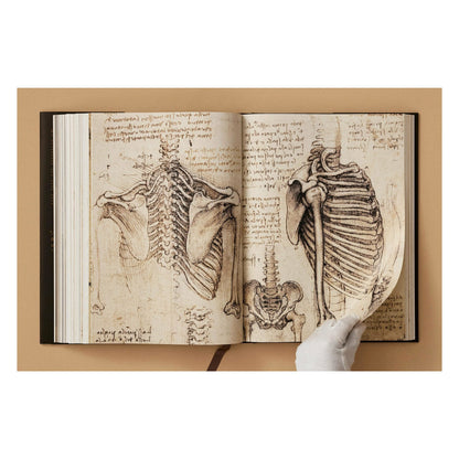 Leonardo. The Complete Paintings and Drawings (English) Book