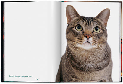 Walter Chandoha. Cats. Photographs 1942–2018 (English) Book
